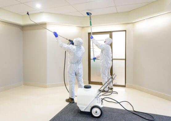 cleaning kitchen wall and ceiling