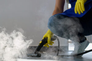 carpet cleaning company